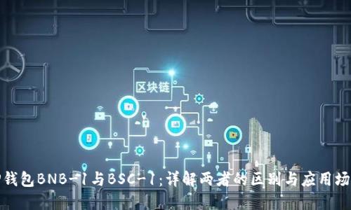 TP钱包BNB-1与BSC-1：详解两者的区别与应用场景