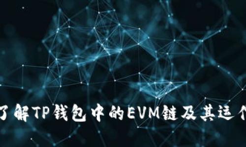 深入了解TP钱包中的EVM链及其运作机制