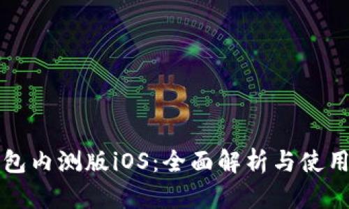 TP钱包内测版iOS：全面解析与使用指南