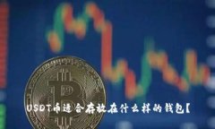 USDT币适合存放在什么样的