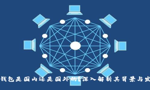 TP钱包是国内还是国外的？深入解析其背景与发展