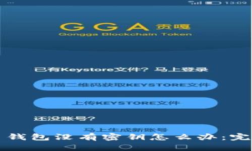 比特币钱包没有密钥怎么办：完全指南