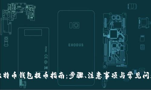 比特币钱包提币指南：步骤、注意事项与常见问题