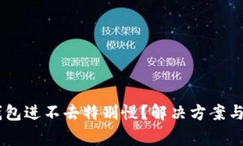 为什么 TP 钱包进不去特别慢？解决方案与常见问题解析