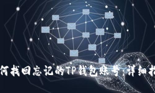 如何找回忘记的TP钱包账号：详细指南