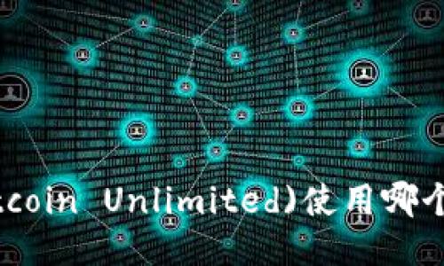 比特无限币(Bitcoin Unlimited)使用哪个钱包比较合适？