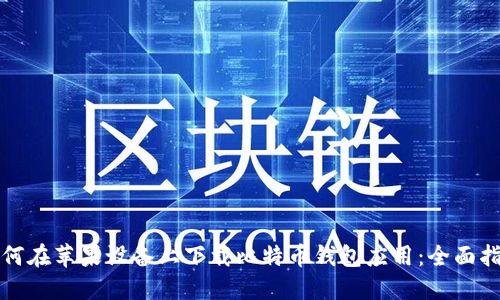 如何在苹果设备上下载比特币钱包应用：全面指南