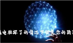 : 如何在电脑坏了的情况下恢复你的狗狗币钱包