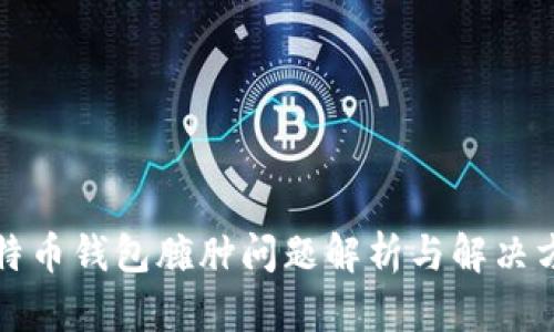 比特币钱包臃肿问题解析与解决方案