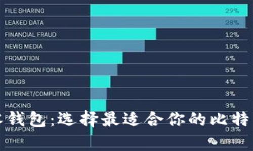 比特币找零钱包：选择最适合你的比特币存储方案