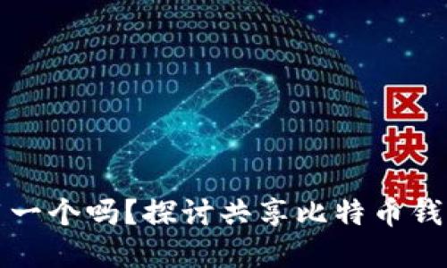 比特币钱包可以共用一个吗？探讨共享比特币钱包的安全性与实用性