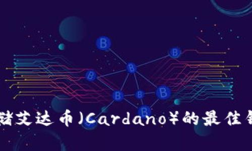可以存储艾达币（Cardano）的最佳钱包推荐