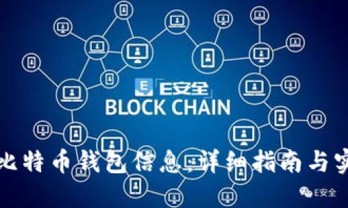 如何查比特币钱包信息：详细指南与实用技巧