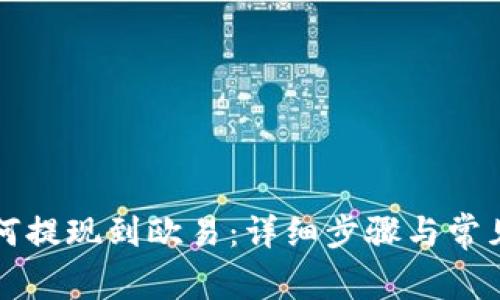 TP钱包如何提现到欧易：详细步骤与常见问题解析