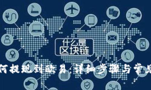 TP钱包如何提现到欧易：详细步骤与常见问题解析