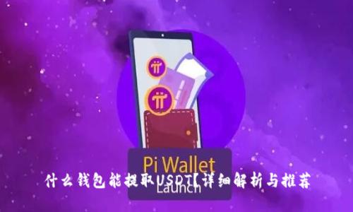 什么钱包能提取USDT？详细解析与推荐
