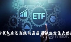 TP钱包延迟到账的原因及解