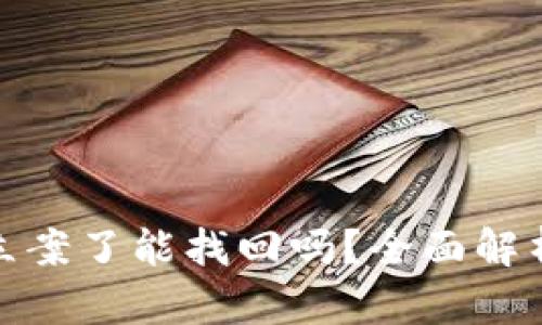 tp钱包被盗立案了能找回吗？全面解析及应对策略