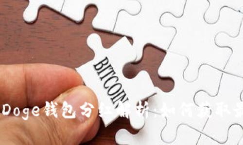 TP BabyDoge钱包分红解析：如何获取最大收益？