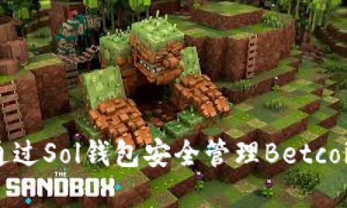 如何通过Sol钱包安全管理Betcoin资产