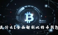 比特币钱包存的是什么？