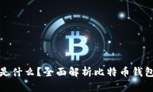 比特币钱包存的是什么？全面解析比特币钱包的功能与安全性