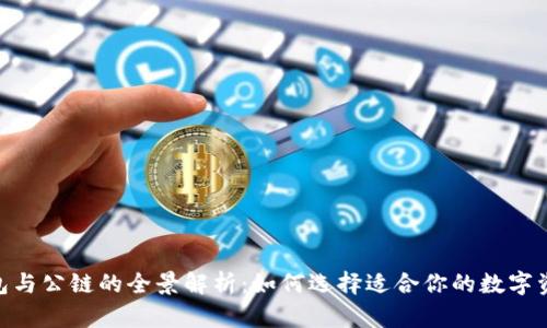 bioatiTP钱包与公链的全景解析：如何选择适合你的数字资产管理工具
