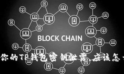 如果你的TP钱包密钥泄露，应该怎么办？