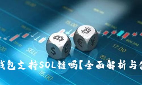 小狐狸钱包支持SOL链吗？全面解析与使用指南