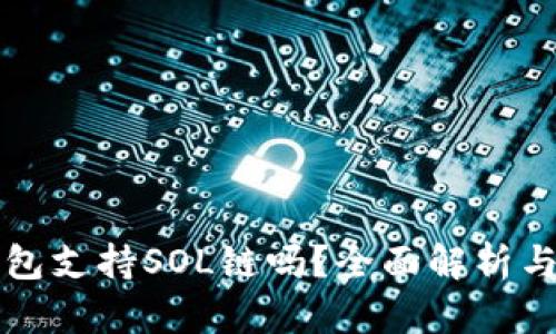 小狐狸钱包支持SOL链吗？全面解析与使用指南