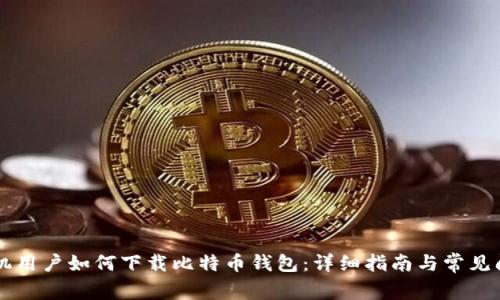苹果手机用户如何下载比特币钱包：详细指南与常见问题解析
