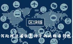  如何处理没有恢复种子的