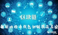全面解析比特币钱包识别