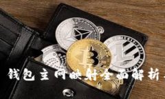 IM Token 钱包主网映射全面