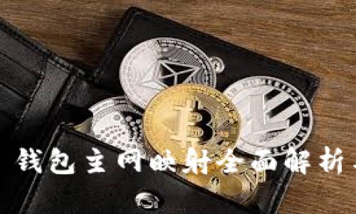 IM Token 钱包主网映射全面解析与用户指南