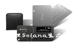 如何使用TP钱包管理Solan