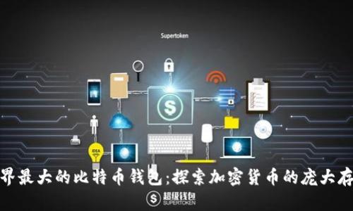世界最大的比特币钱包：探索加密货币的庞大存储