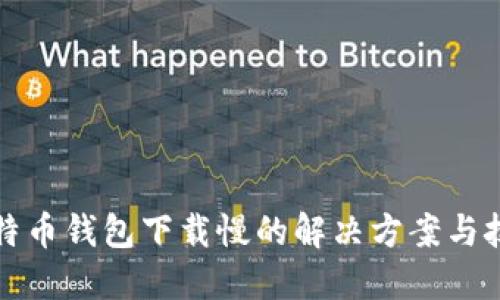 比特币钱包下载慢的解决方案与技巧