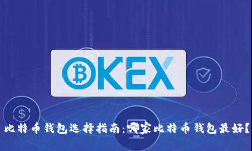 比特币钱包选择指南：哪家比特币钱包最好？
