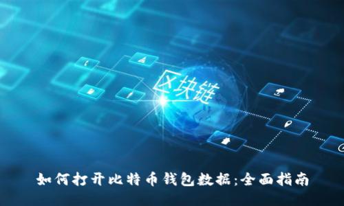 如何打开比特币钱包数据：全面指南