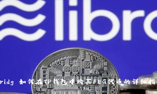 bridg 如何在TP钱包中购买FEG代币的详细指南