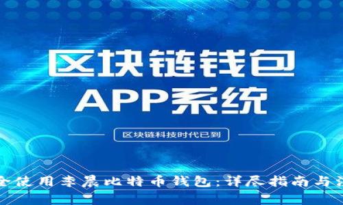 如何安全使用李晨比特币钱包：详尽指南与注意事项