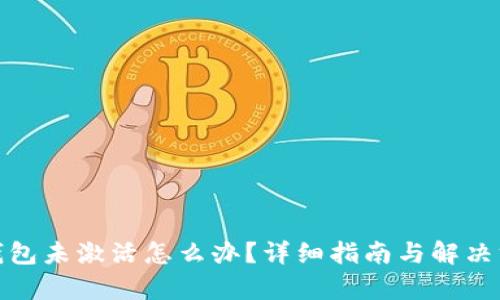 tp钱包未激活怎么办？详细指南与解决方案