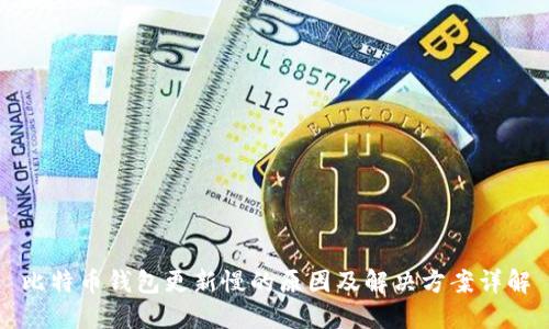 比特币钱包更新慢的原因及解决方案详解
