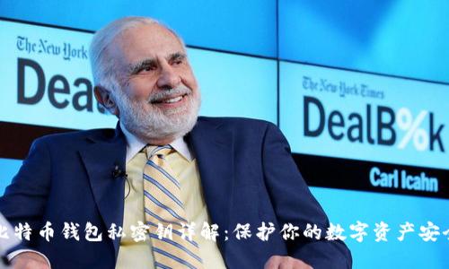比特币钱包私密钥详解：保护你的数字资产安全