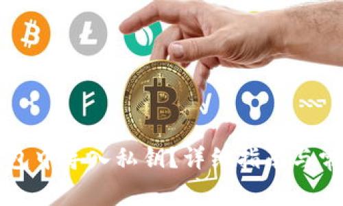 如何在TP钱包中导入私钥？详细指南与常见问题解析