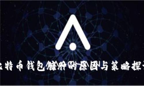 比特币钱包臃肿的原因与策略探讨