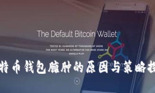 比特币钱包臃肿的原因与策略探讨