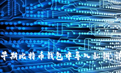 如何在早期比特币钱包中导入私钥：详细指南