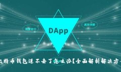 比特币钱包进不去了怎么